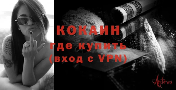 шишки Дмитров