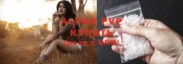 МДПВ Дмитриев