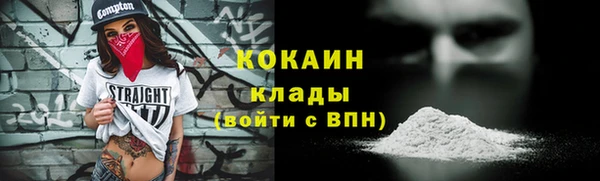 МДПВ Дмитриев