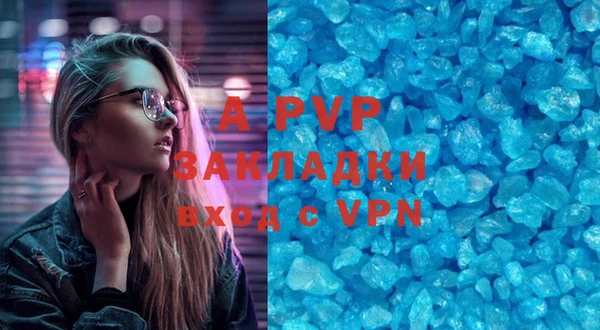 шишки Дмитров