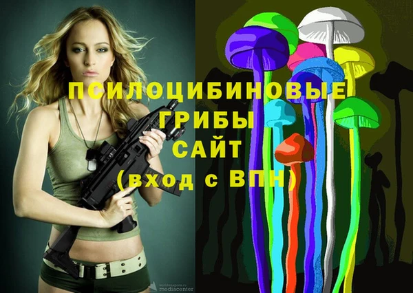МДПВ Дмитриев