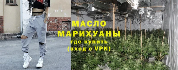 МДПВ Дмитриев