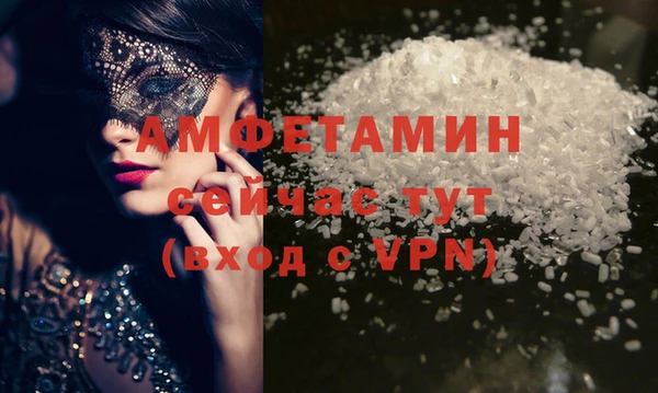 шишки Дмитров