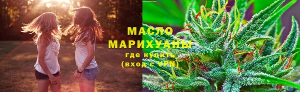 МДПВ Дмитриев