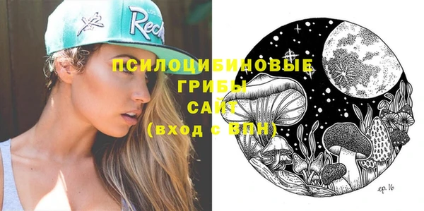 шишки Дмитров