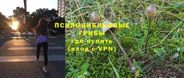 тгк Дмитровск