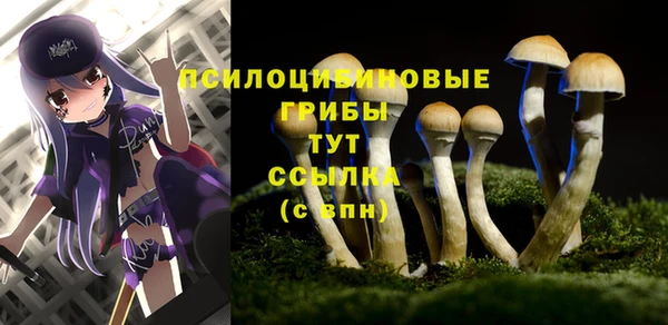 шишки Дмитров