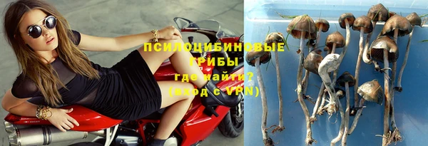 тгк Дмитровск