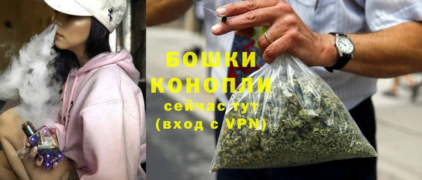 тгк Дмитровск